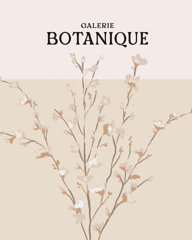 Botanique Blossom Study
