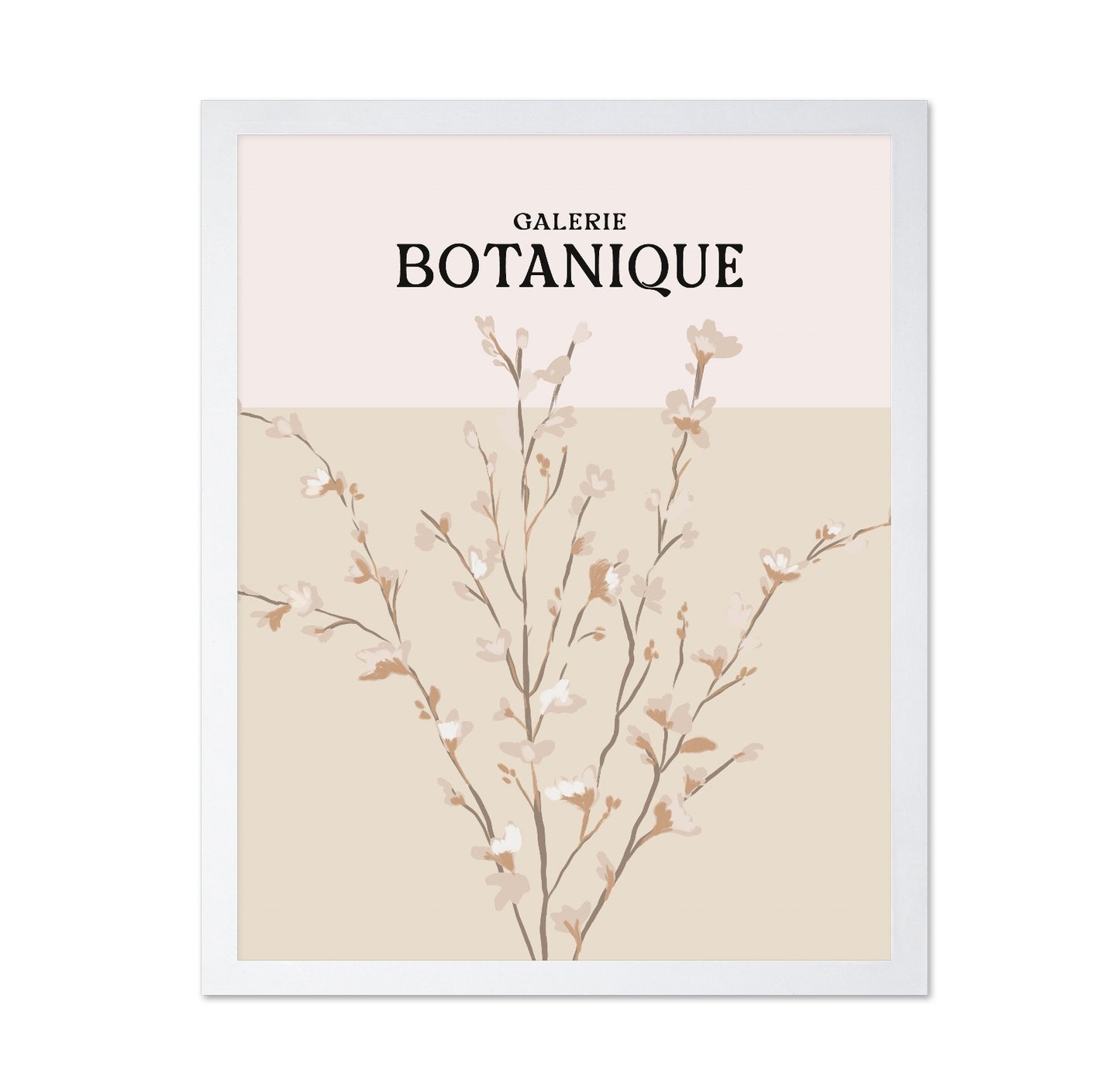 Botanique Blossom Study