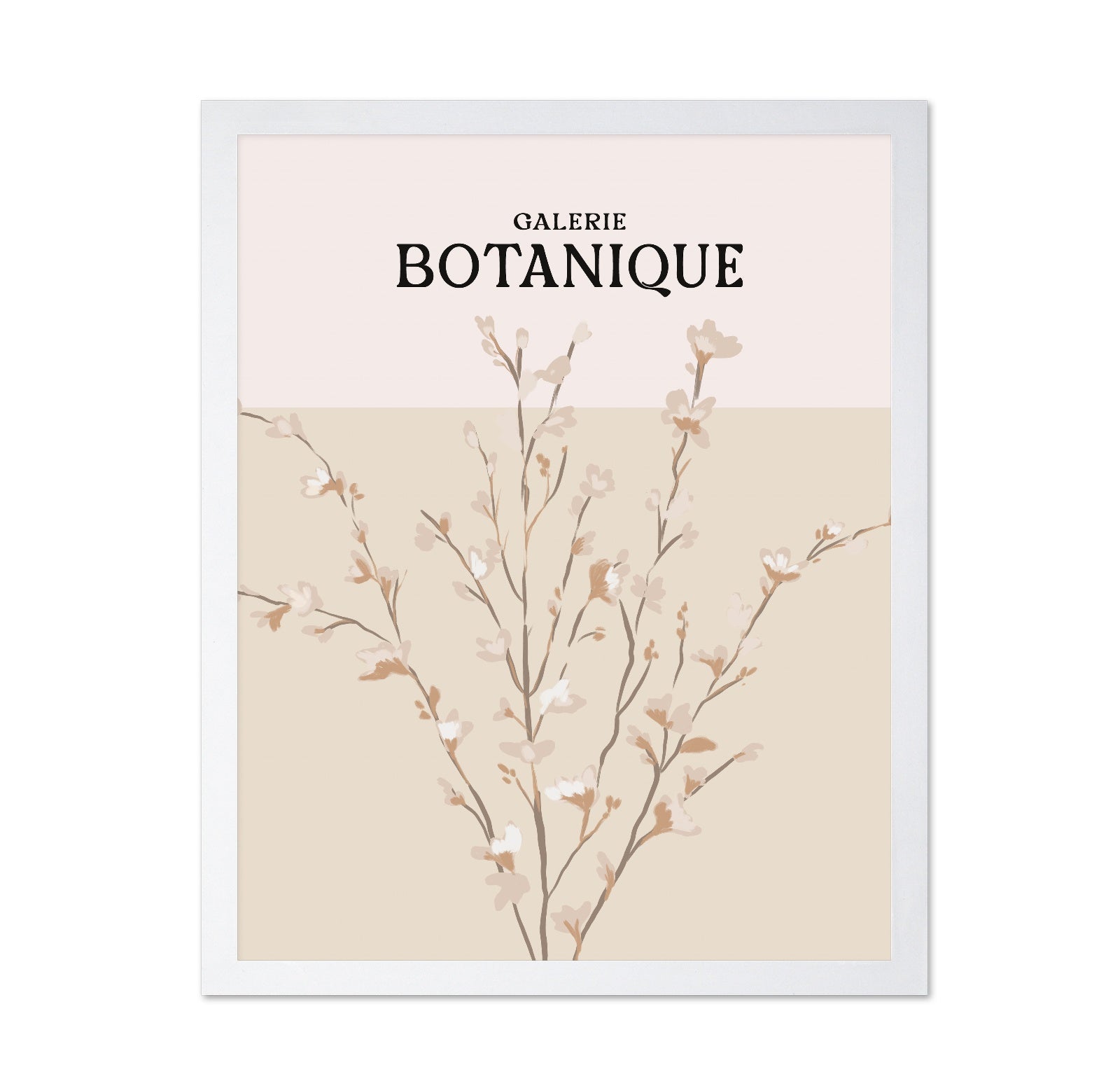 Botanique Blossom Study