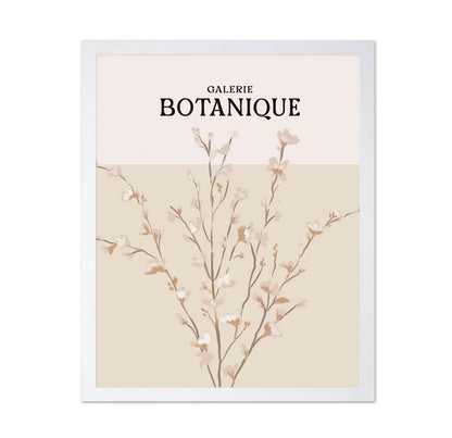 Botanique Blossom Study
