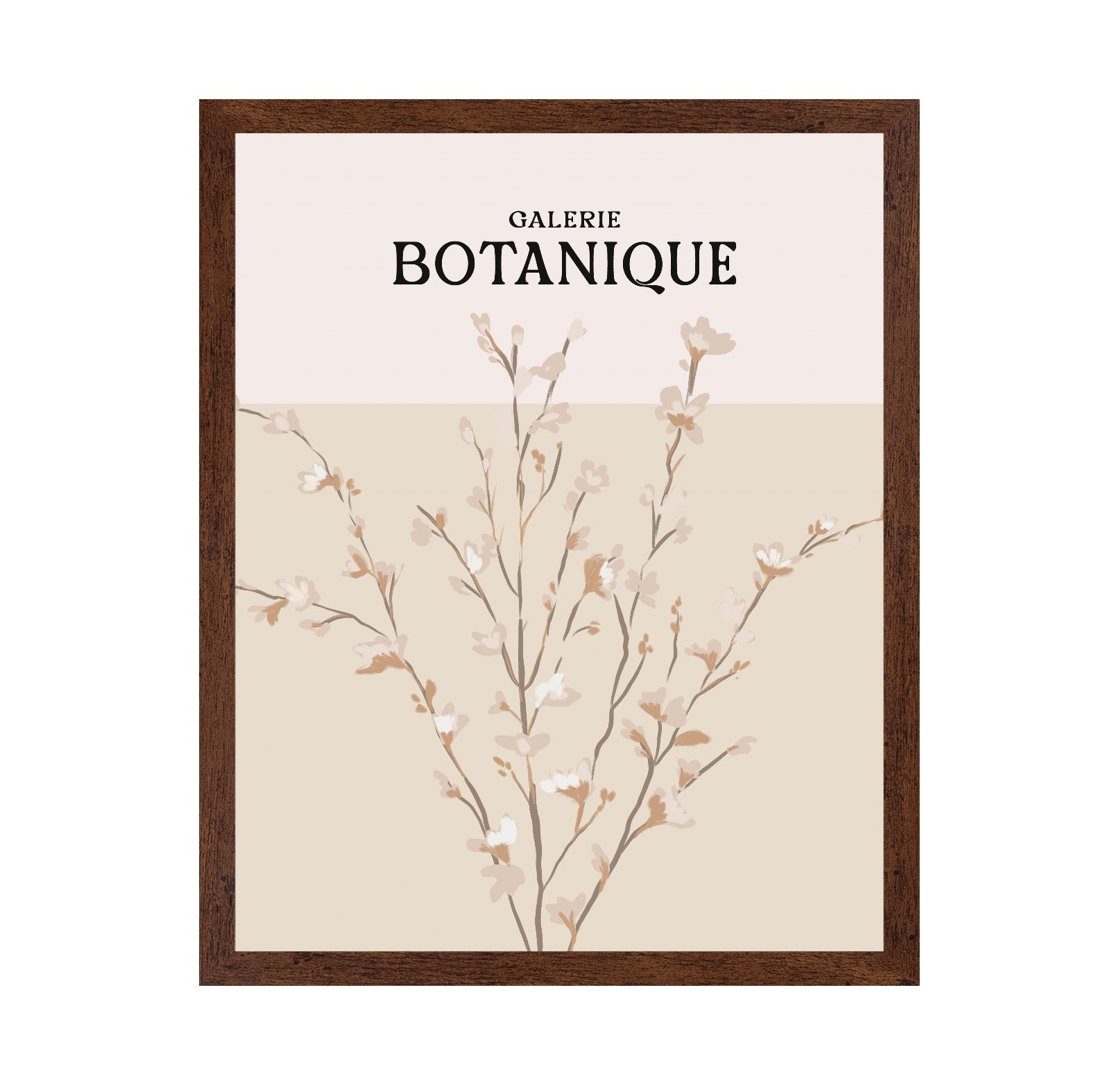 Botanique Blossom Study