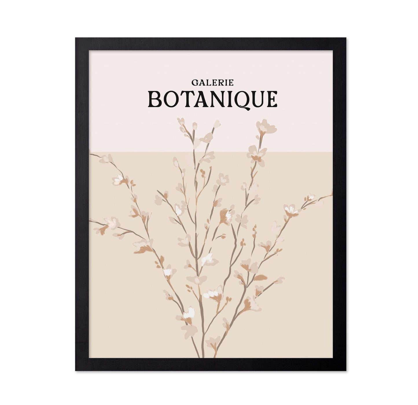 Botanique Blossom Study