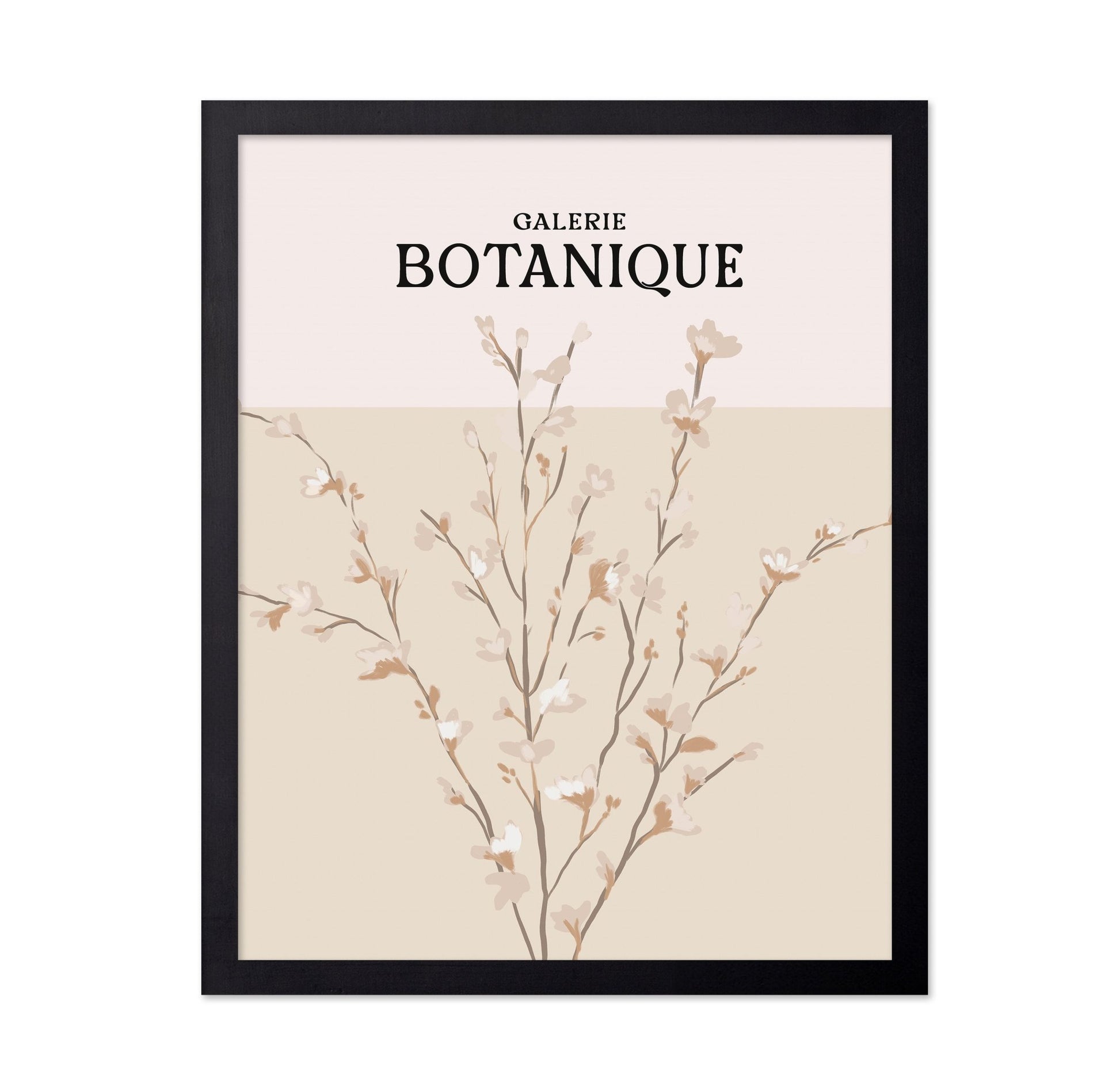 Botanique Blossom Study