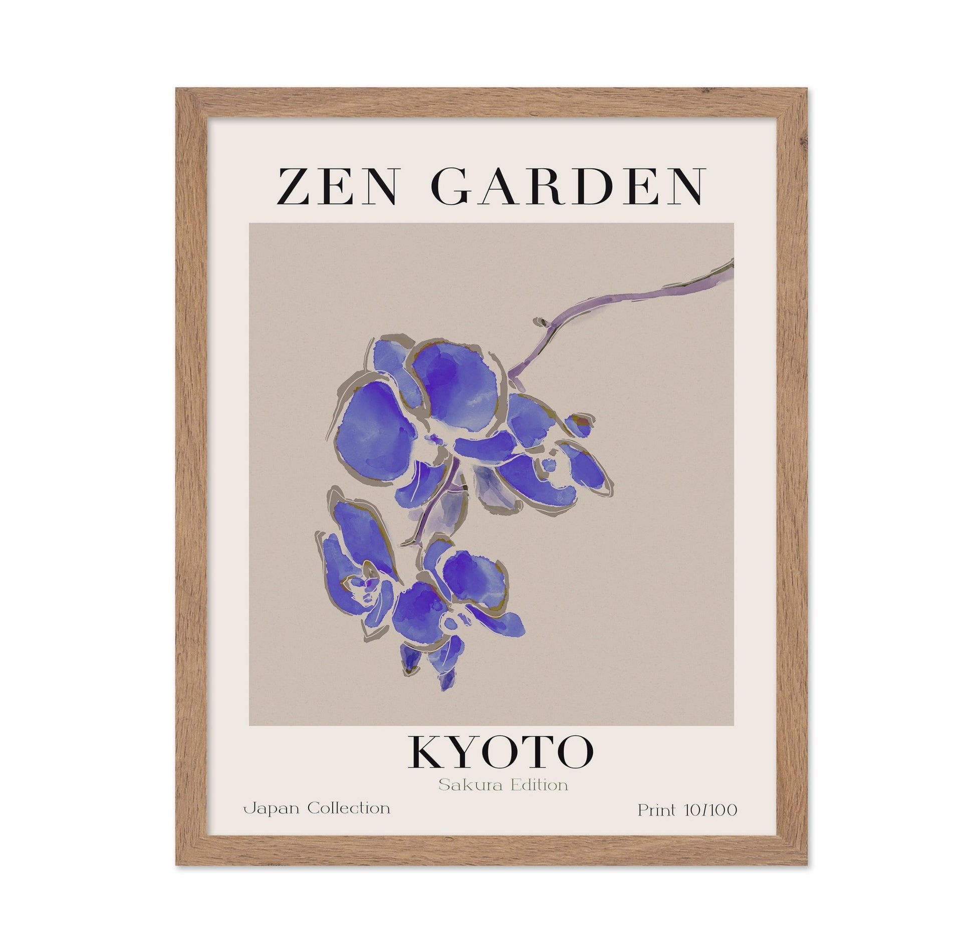 Kyoto Orchid Zen