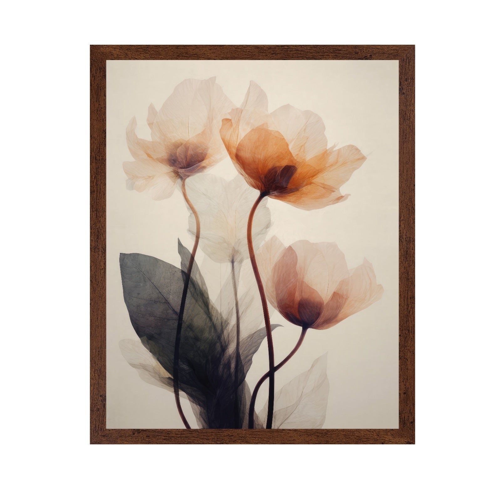 Soft Poppy Bloom No1