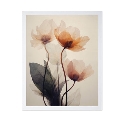 Soft Poppy Bloom No1