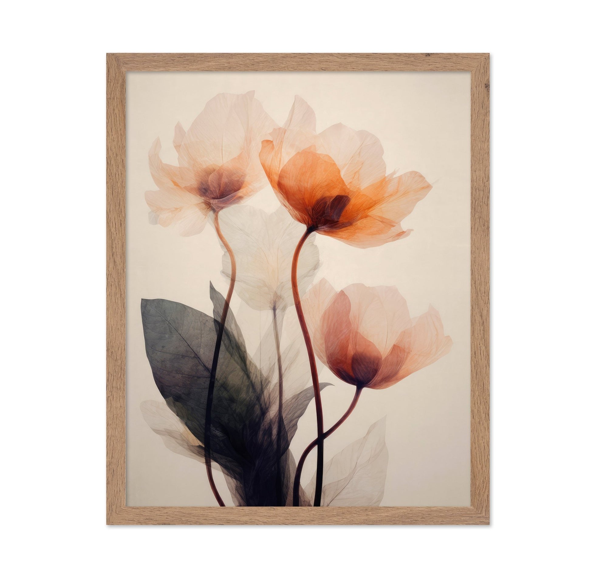 Soft Poppy Bloom No1