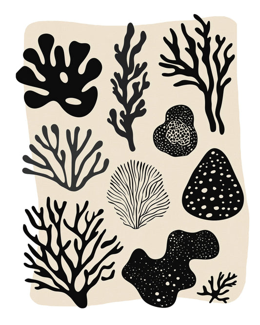 Coral Silhouette Set