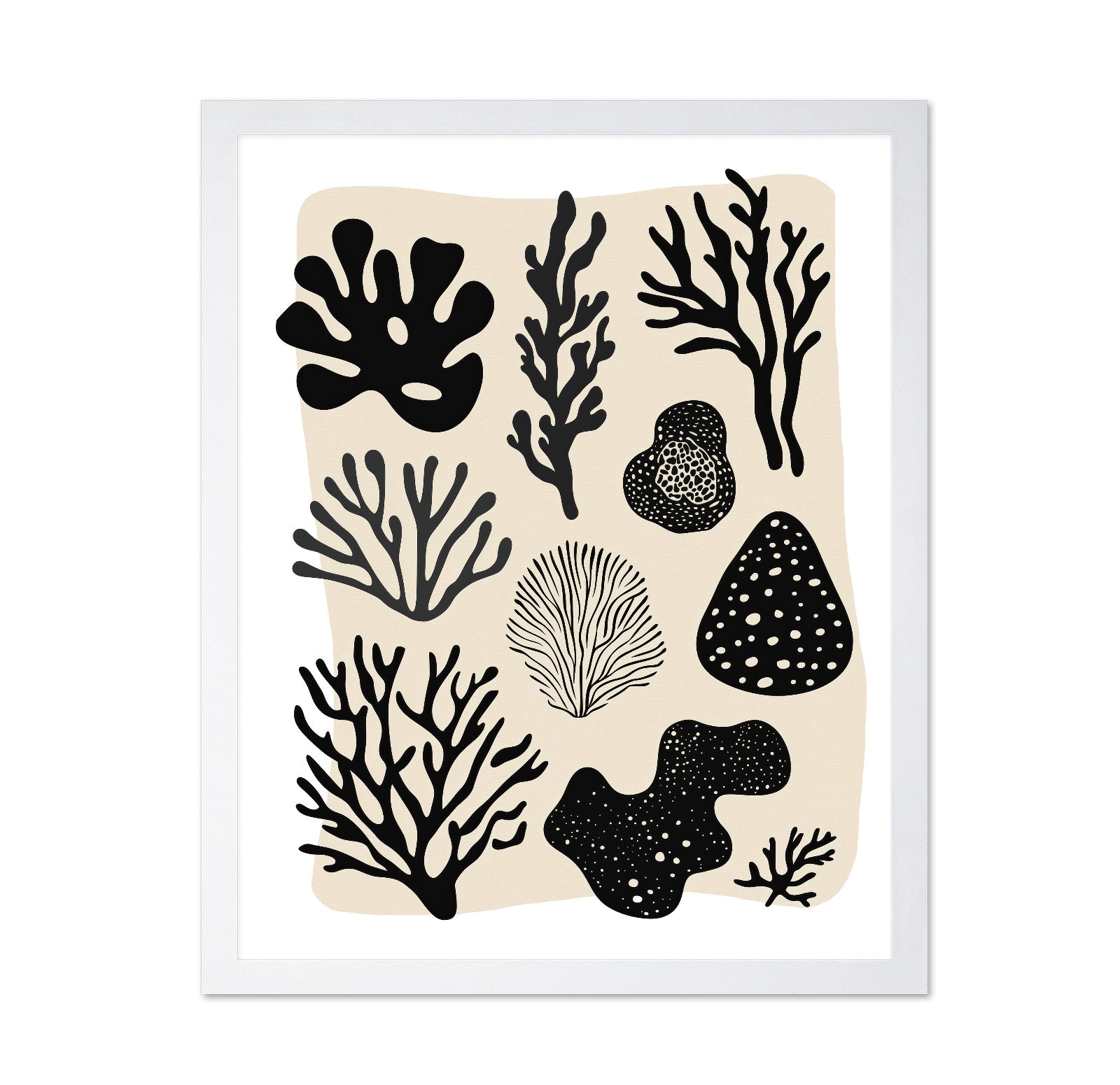 Coral Silhouette Set