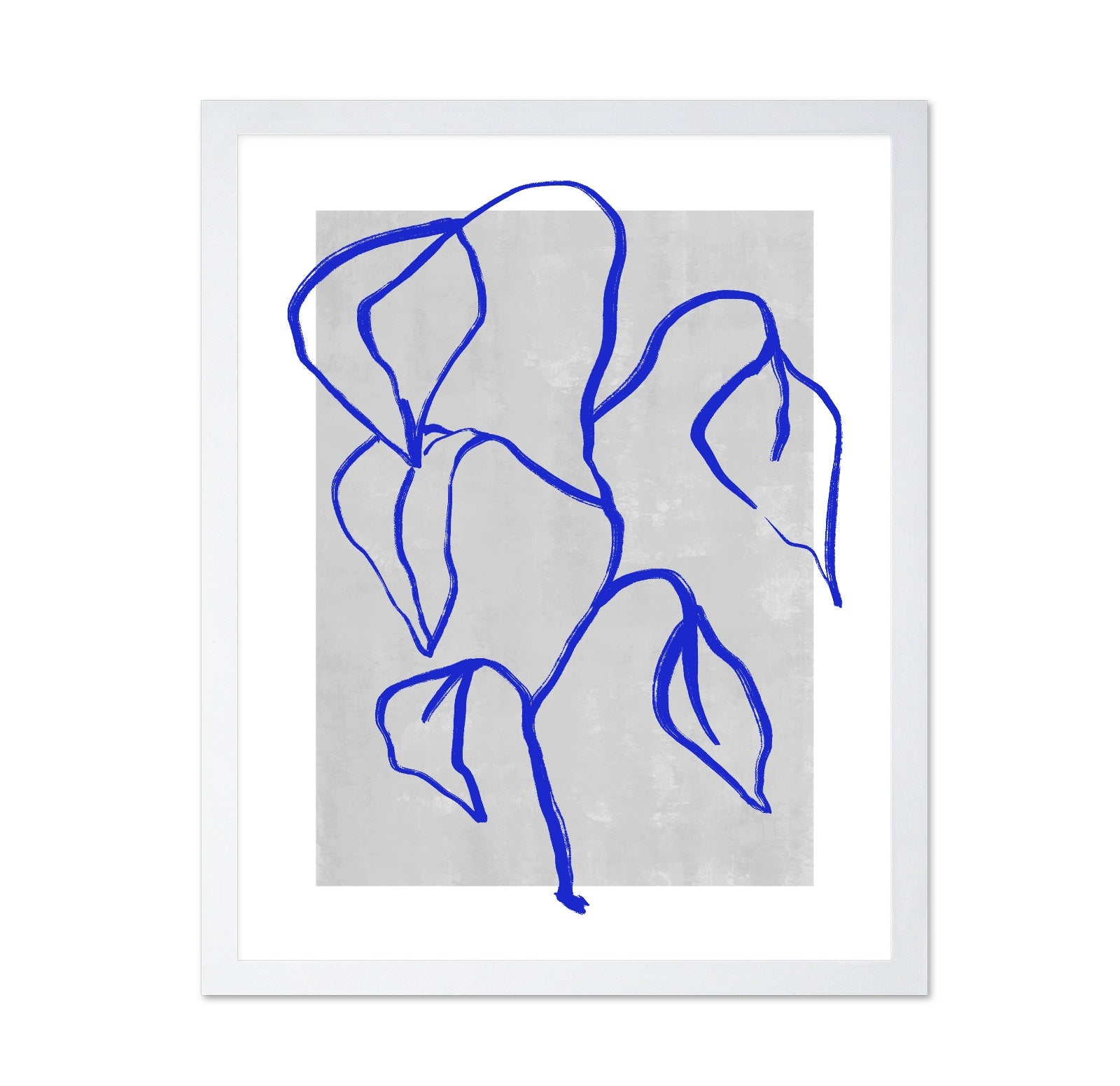 Blue Leaf Lines