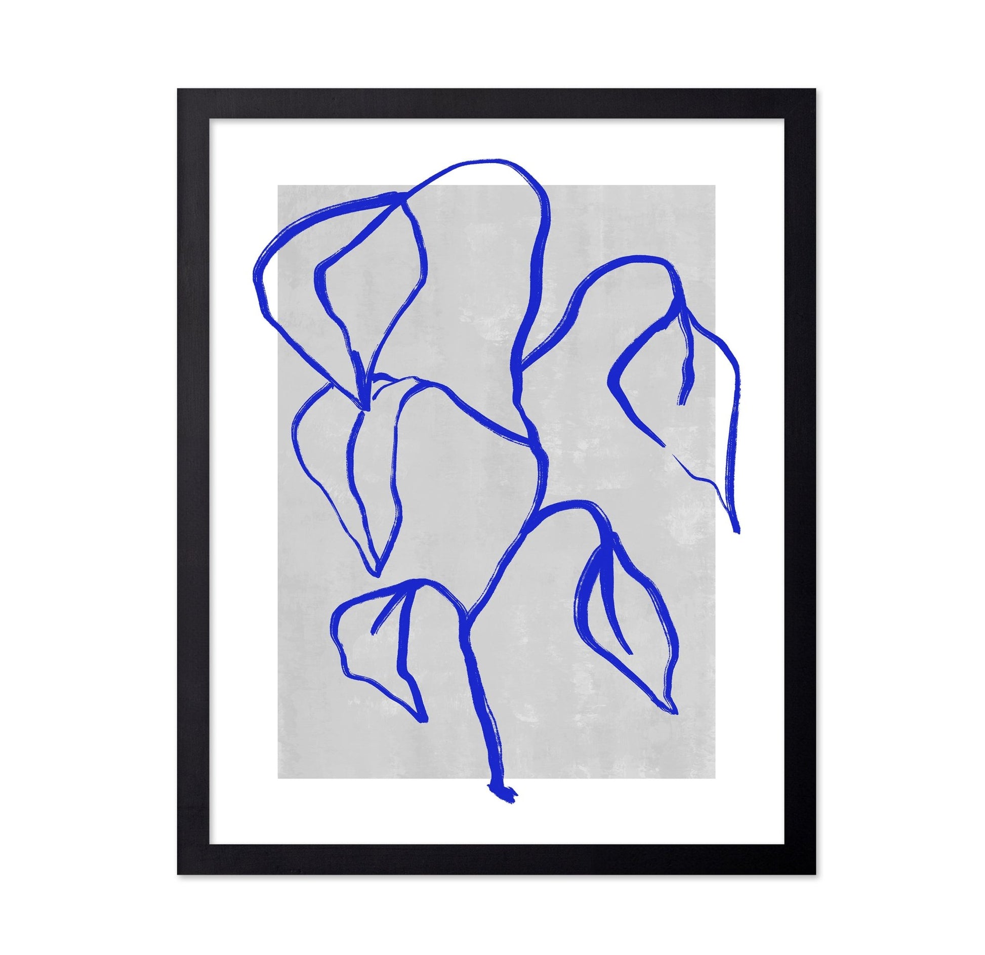 Blue Leaf Lines