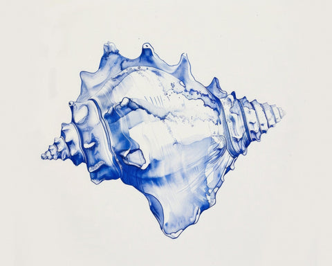 Blue Shell Study