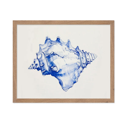 Blue Shell Study