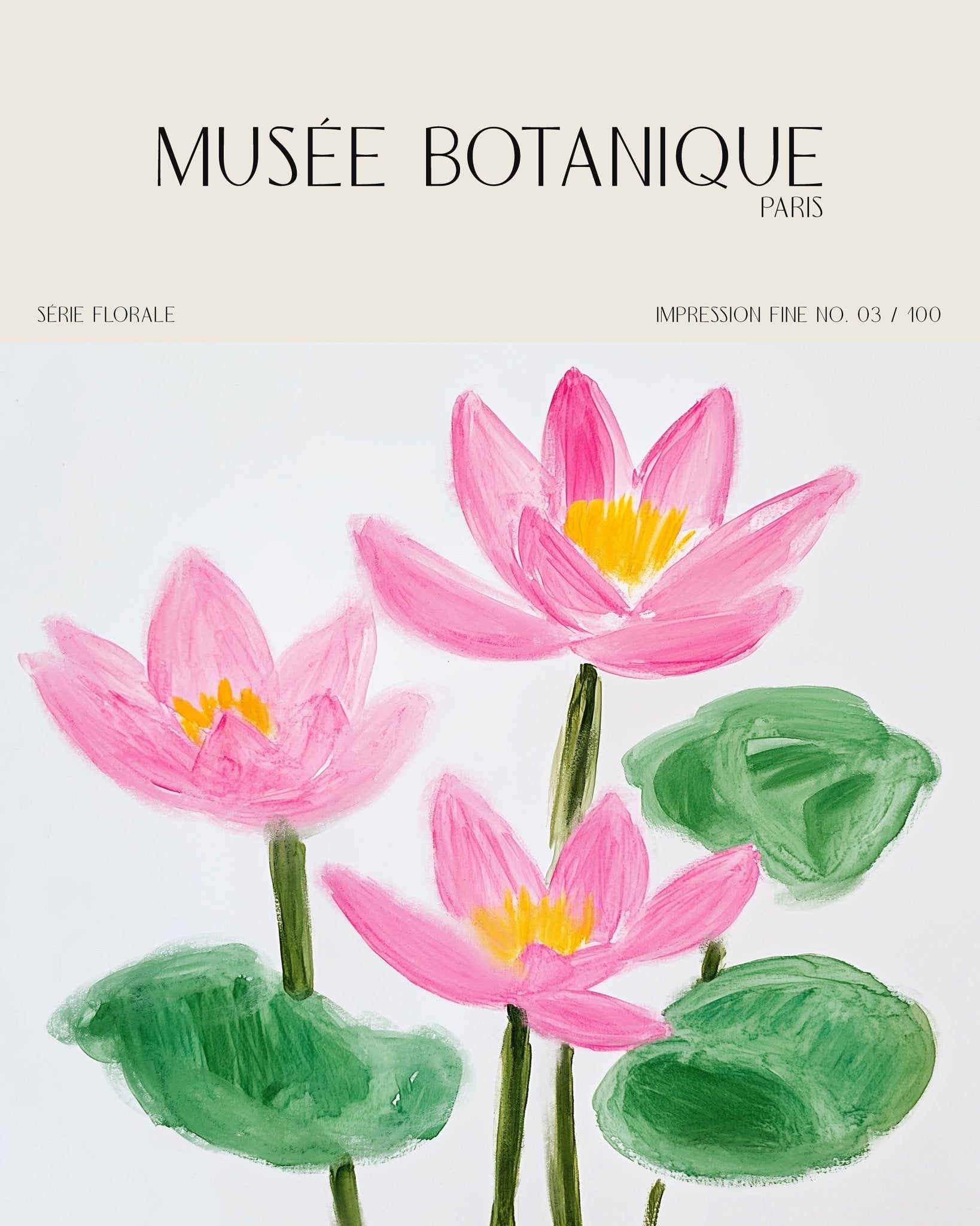 Pink Lotus Botanical