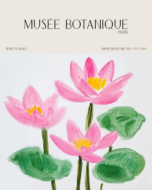 Pink Lotus Botanical