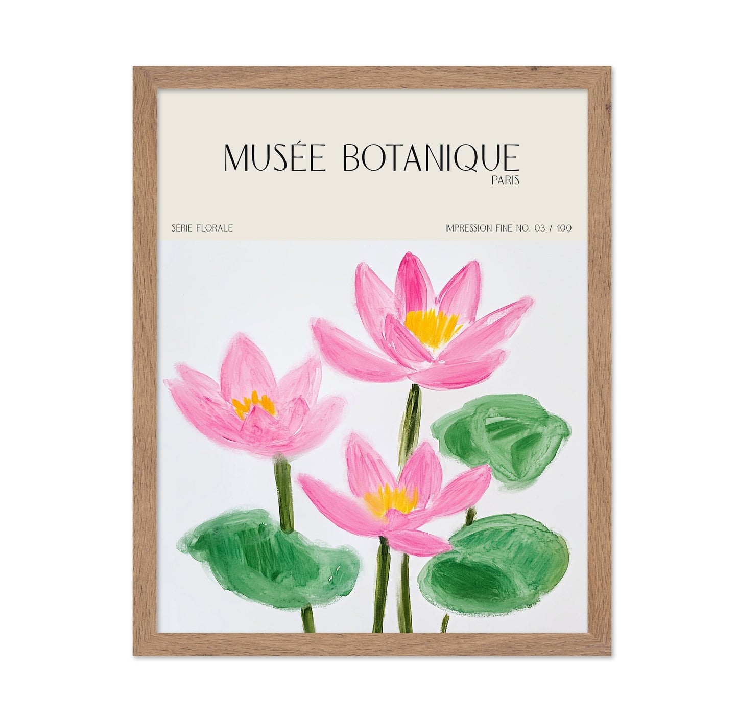 Pink Lotus Botanical