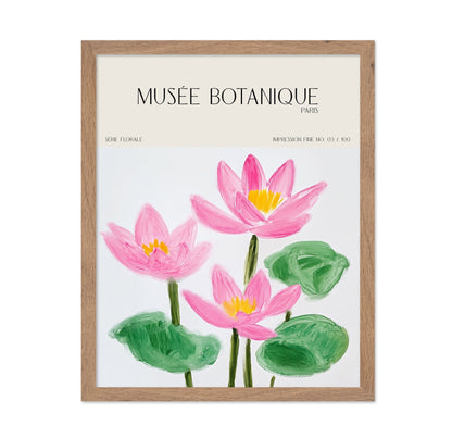 Pink Lotus Botanical