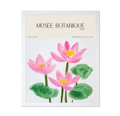Pink Lotus Botanical