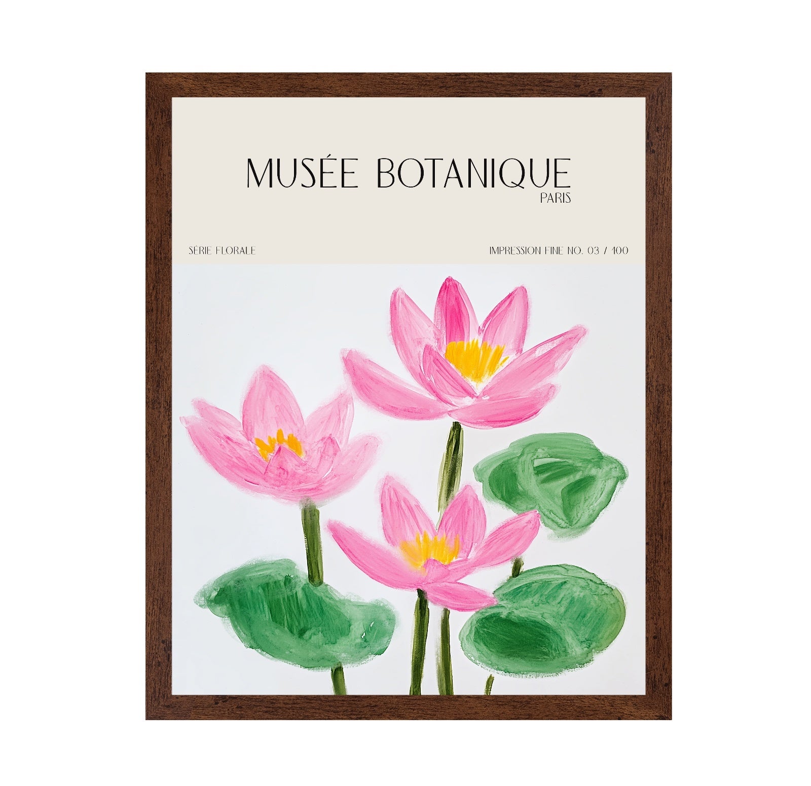 Pink Lotus Botanical