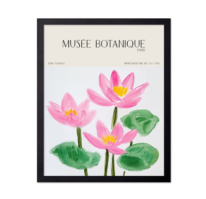 Pink Lotus Botanical