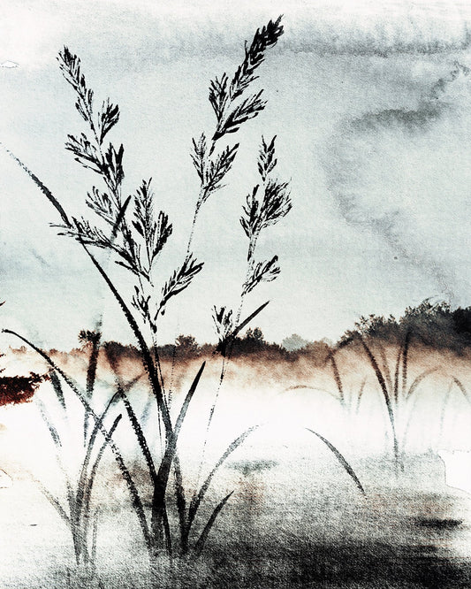 Misty Grass Landscape