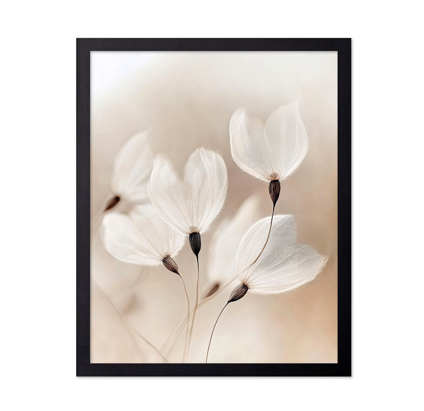 Soft Dandelion Seeds