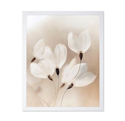 Soft Dandelion Seeds