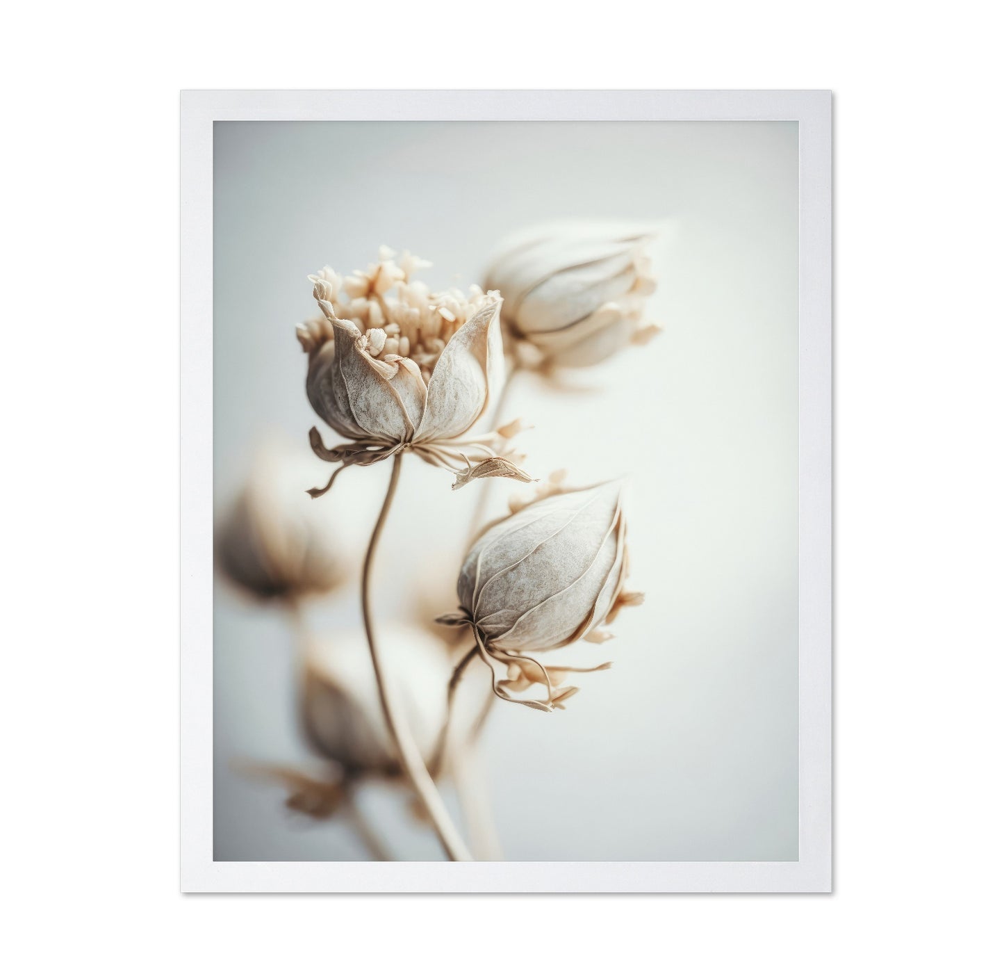 Soft Bloom Study