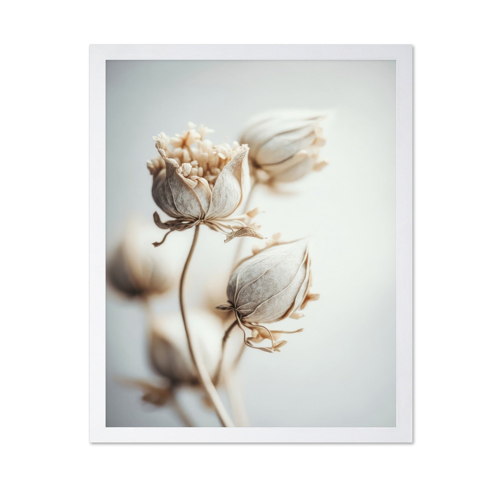 Soft Bloom Study