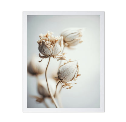 Soft Bloom Study