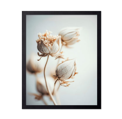 Soft Bloom Study