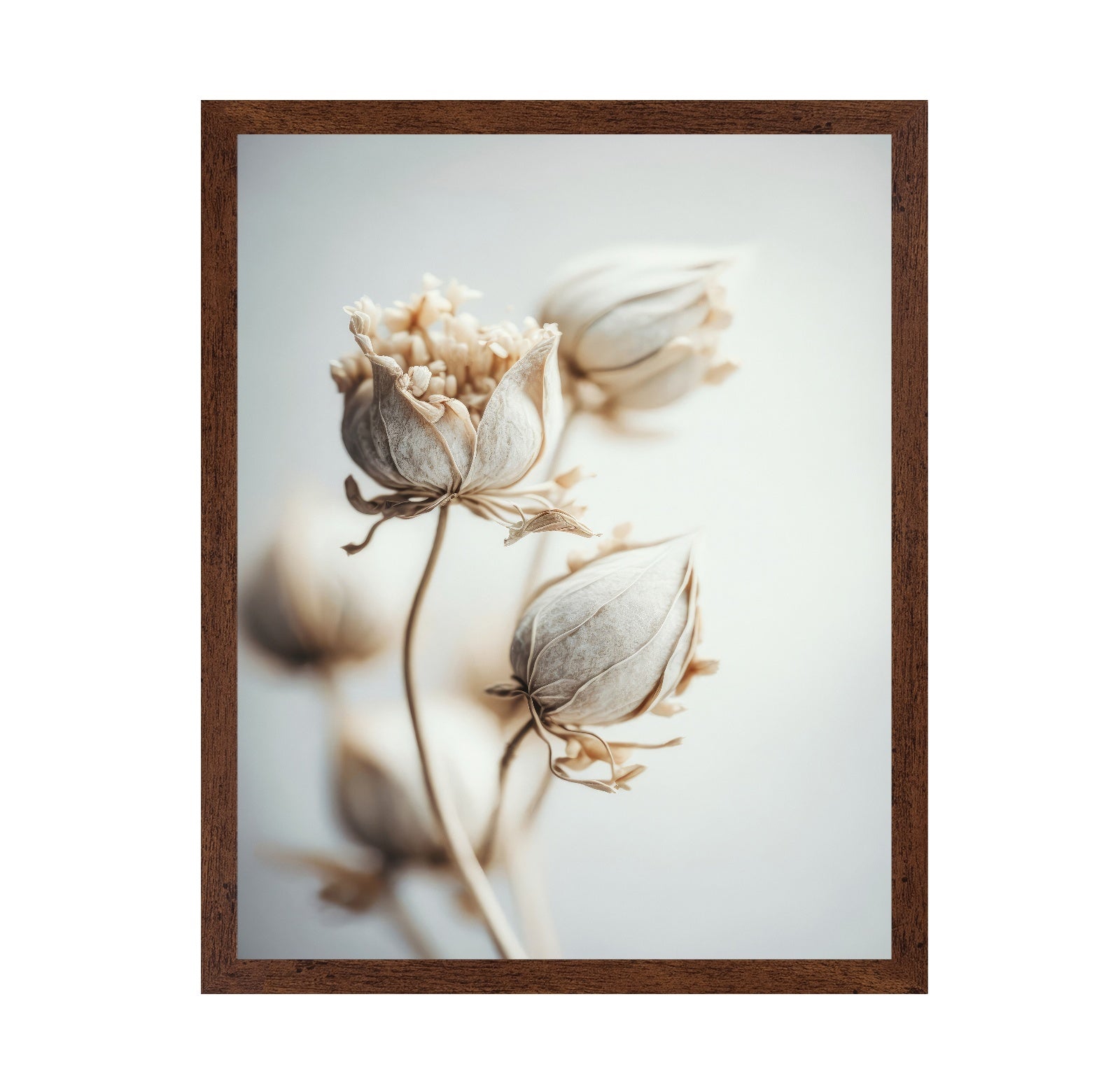 Soft Bloom Study