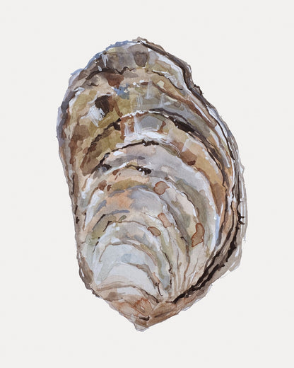 Oyster Shell Study