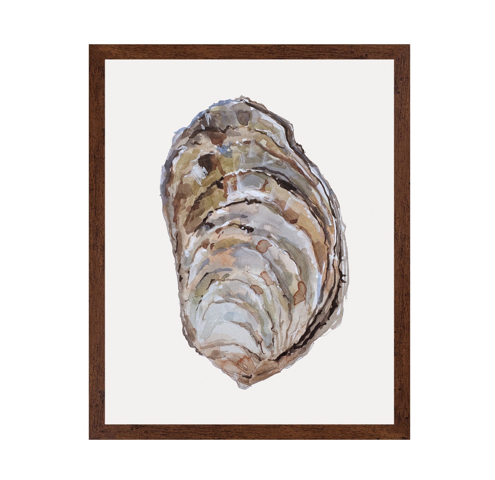 Oyster Shell Study