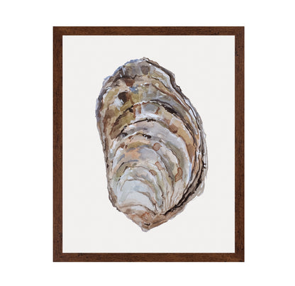Oyster Shell Study