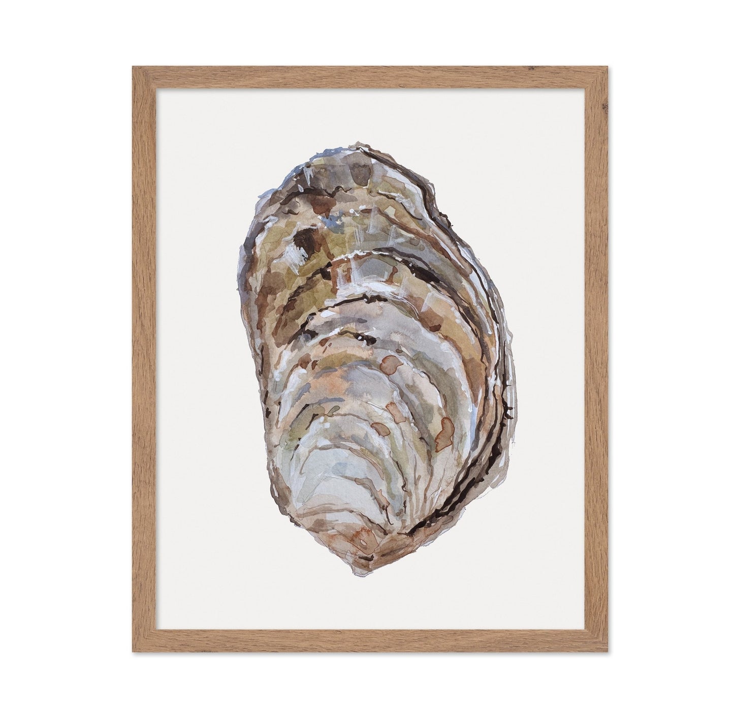 Oyster Shell Study