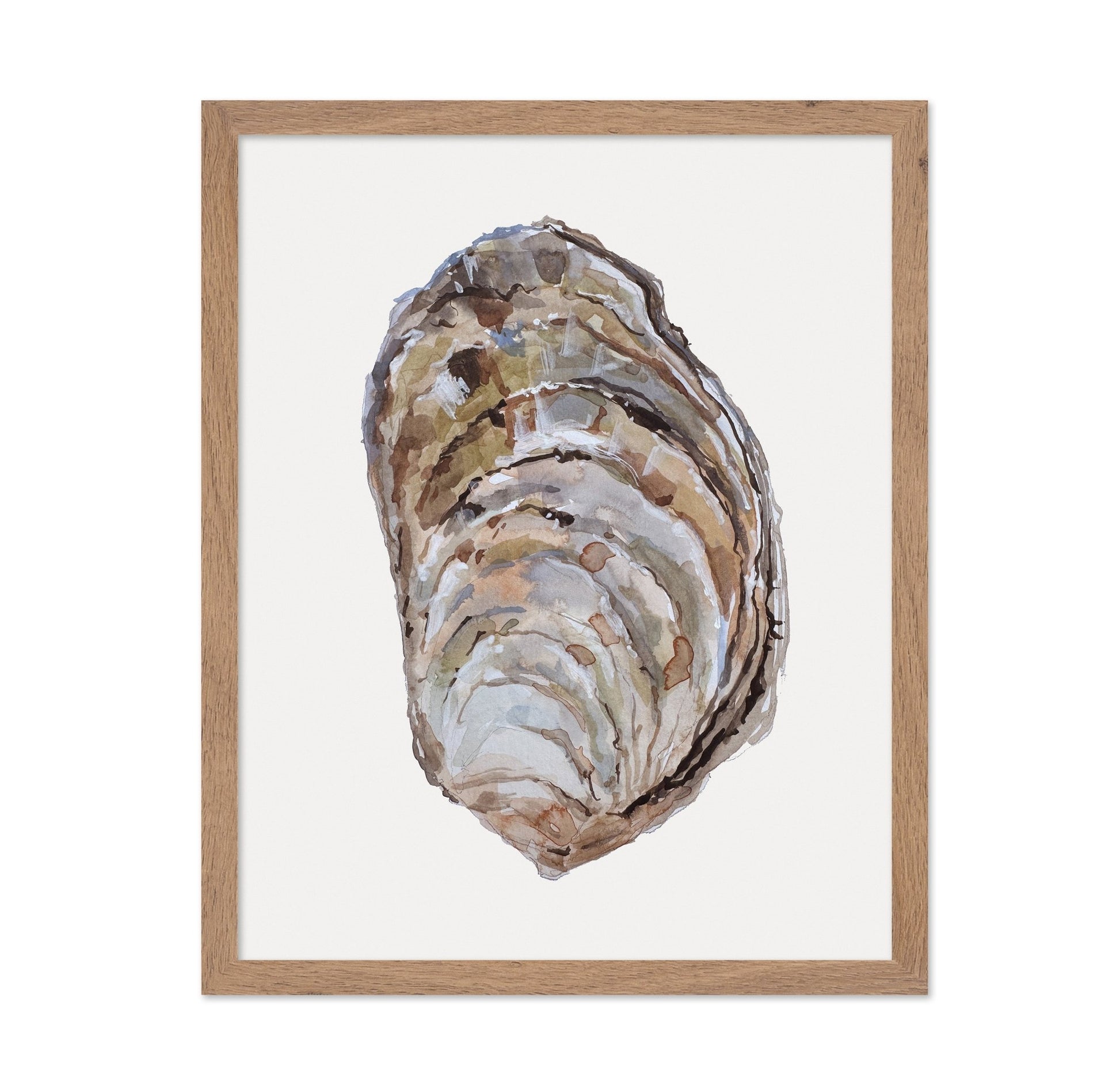 Oyster Shell Study