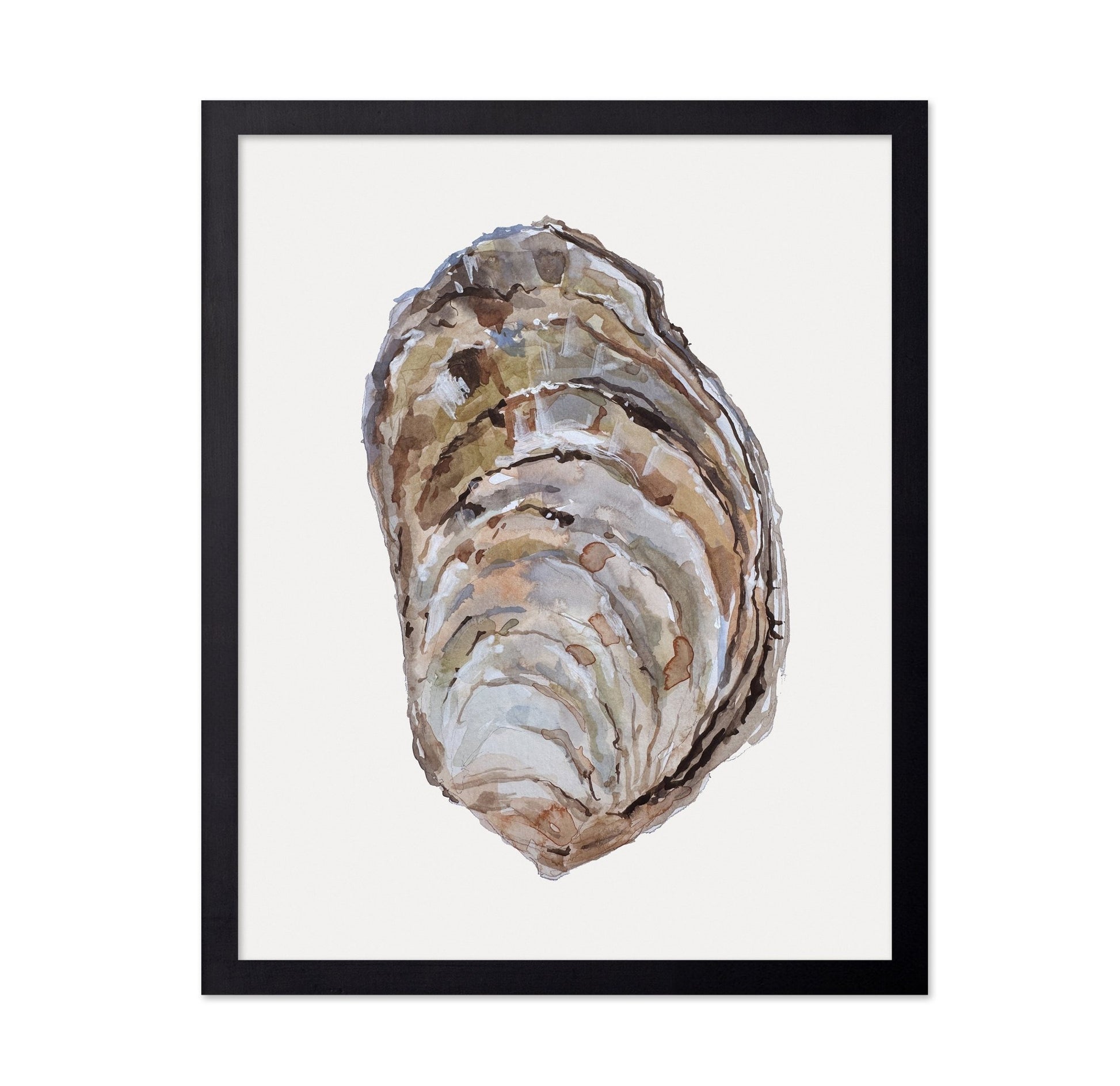 Oyster Shell Study