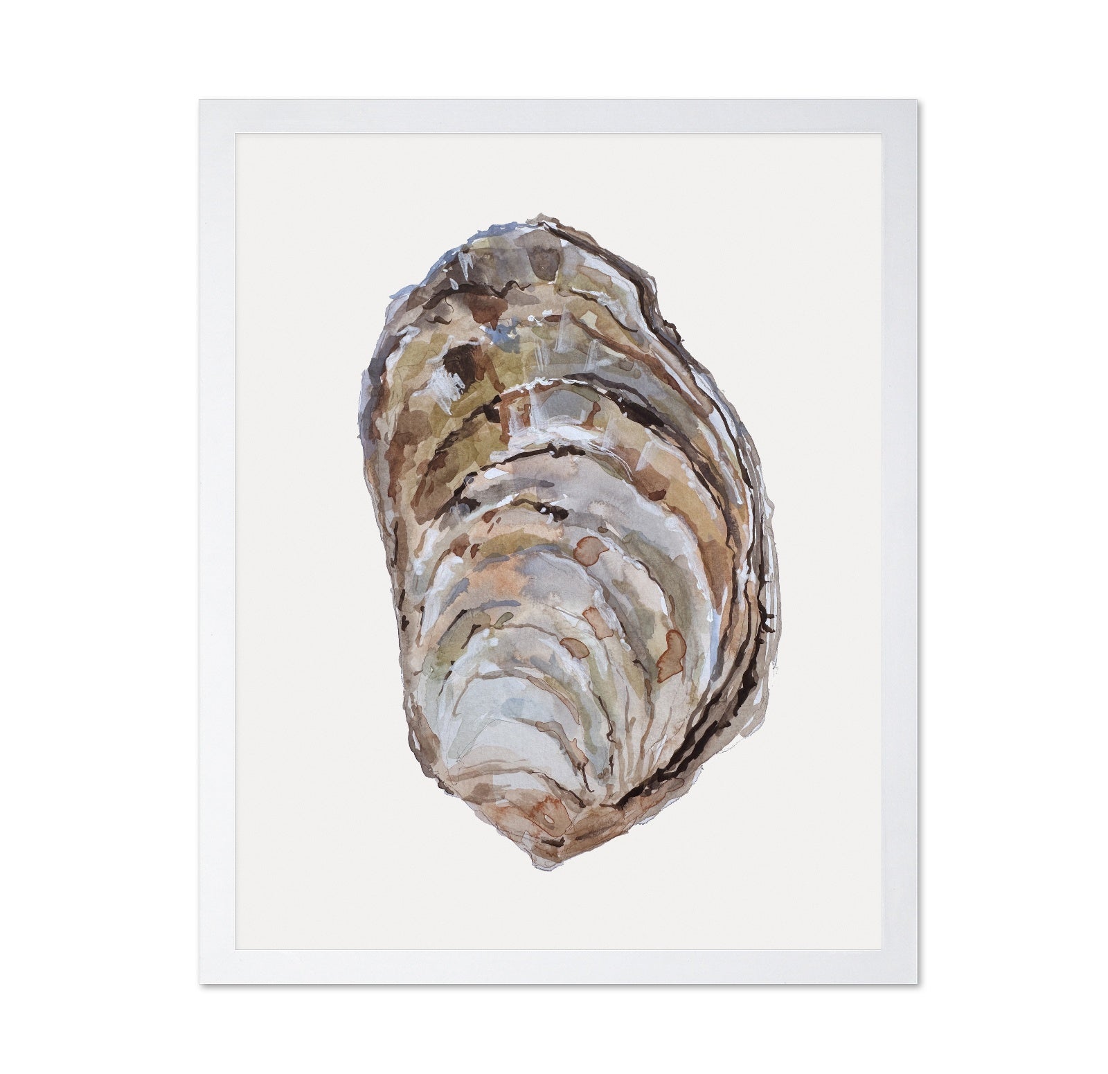 Oyster Shell Study
