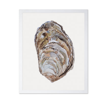 Oyster Shell Study