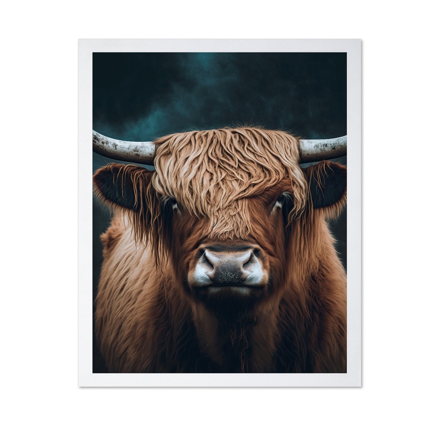 Highland Cow Portrait No5