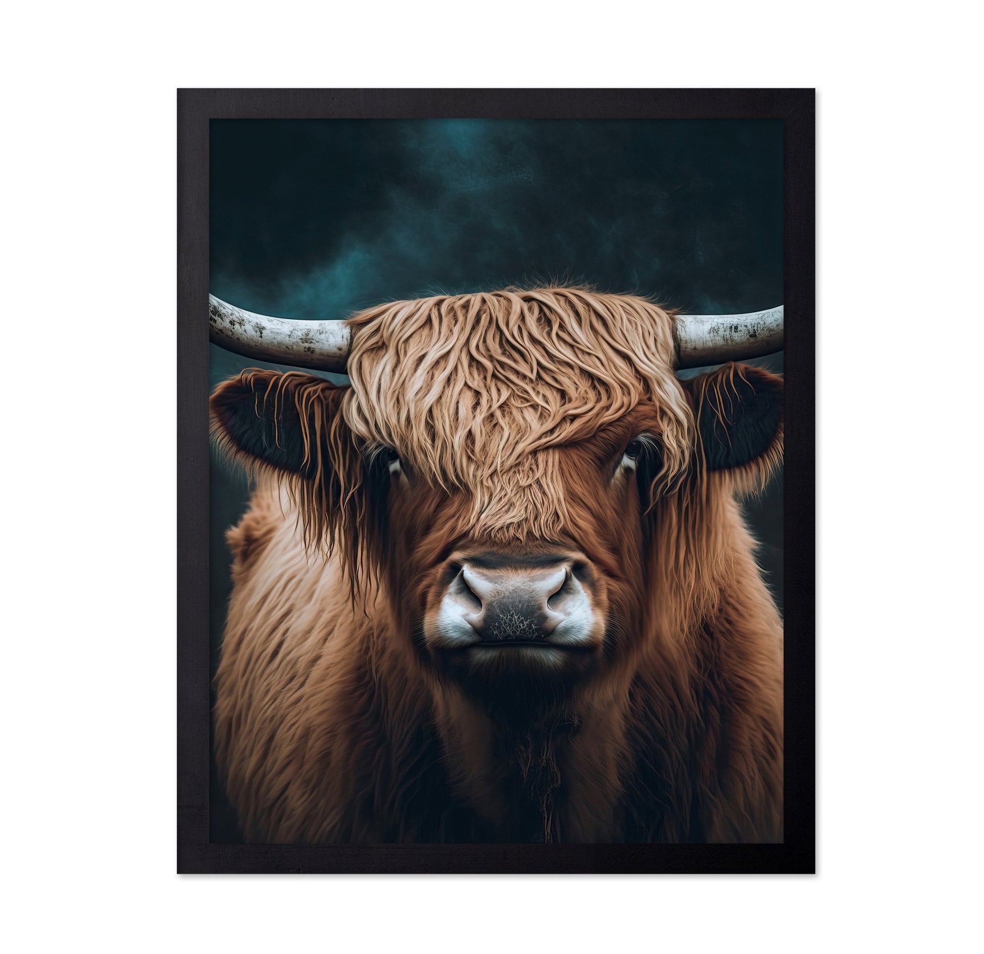 Highland Cow Portrait No5
