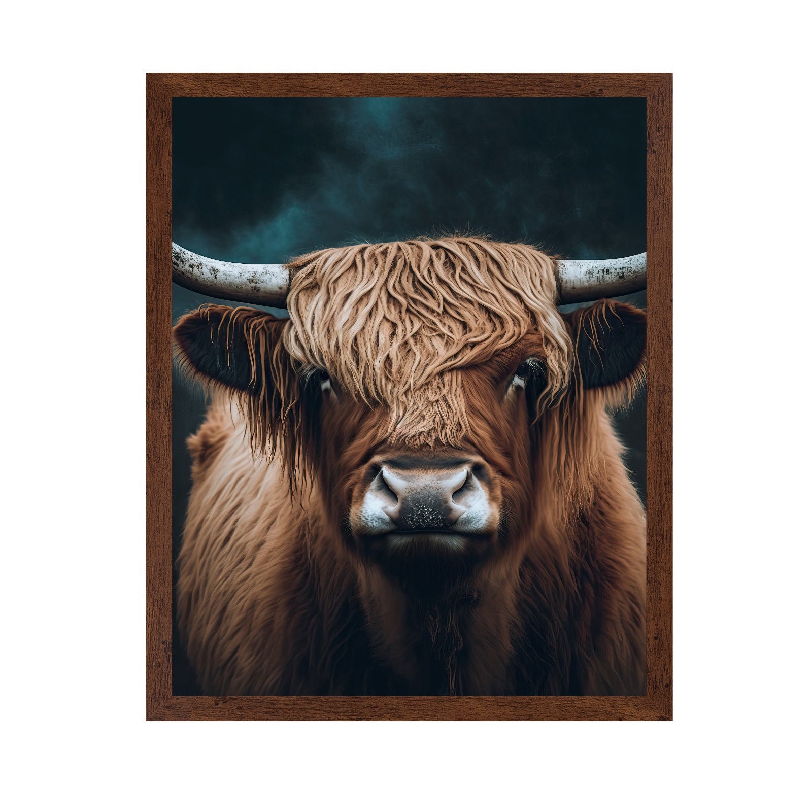 Highland Cow Portrait No5