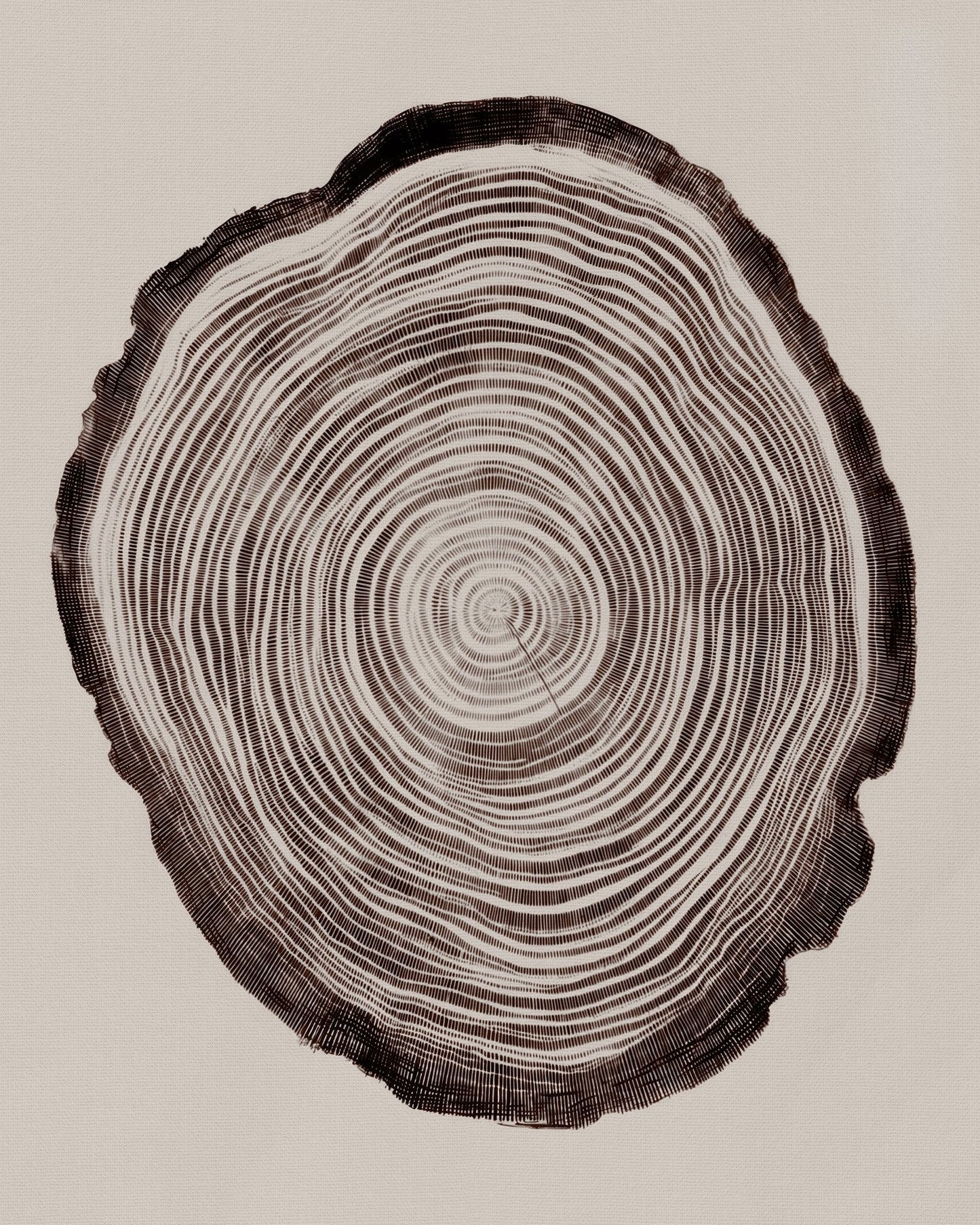 Tree Ring Pattern