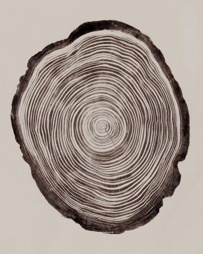 Tree Ring Pattern