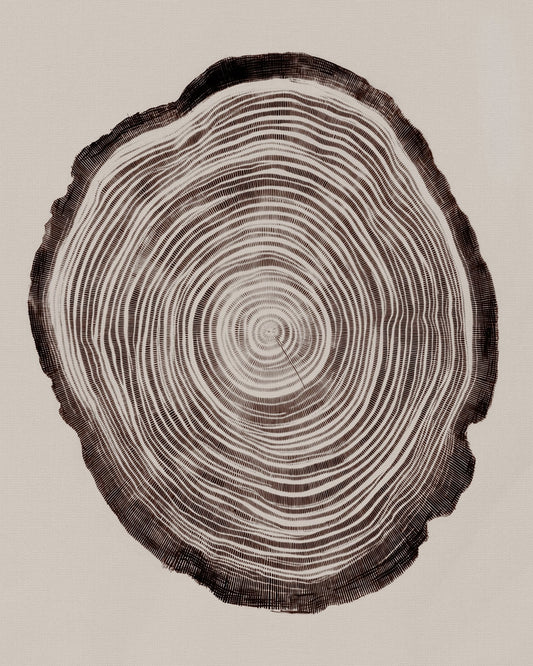 Tree Ring Pattern