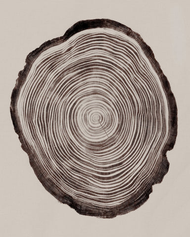 Tree Ring Pattern