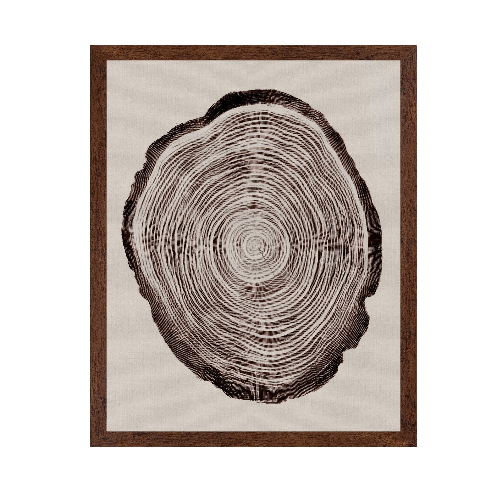 Tree Ring Pattern