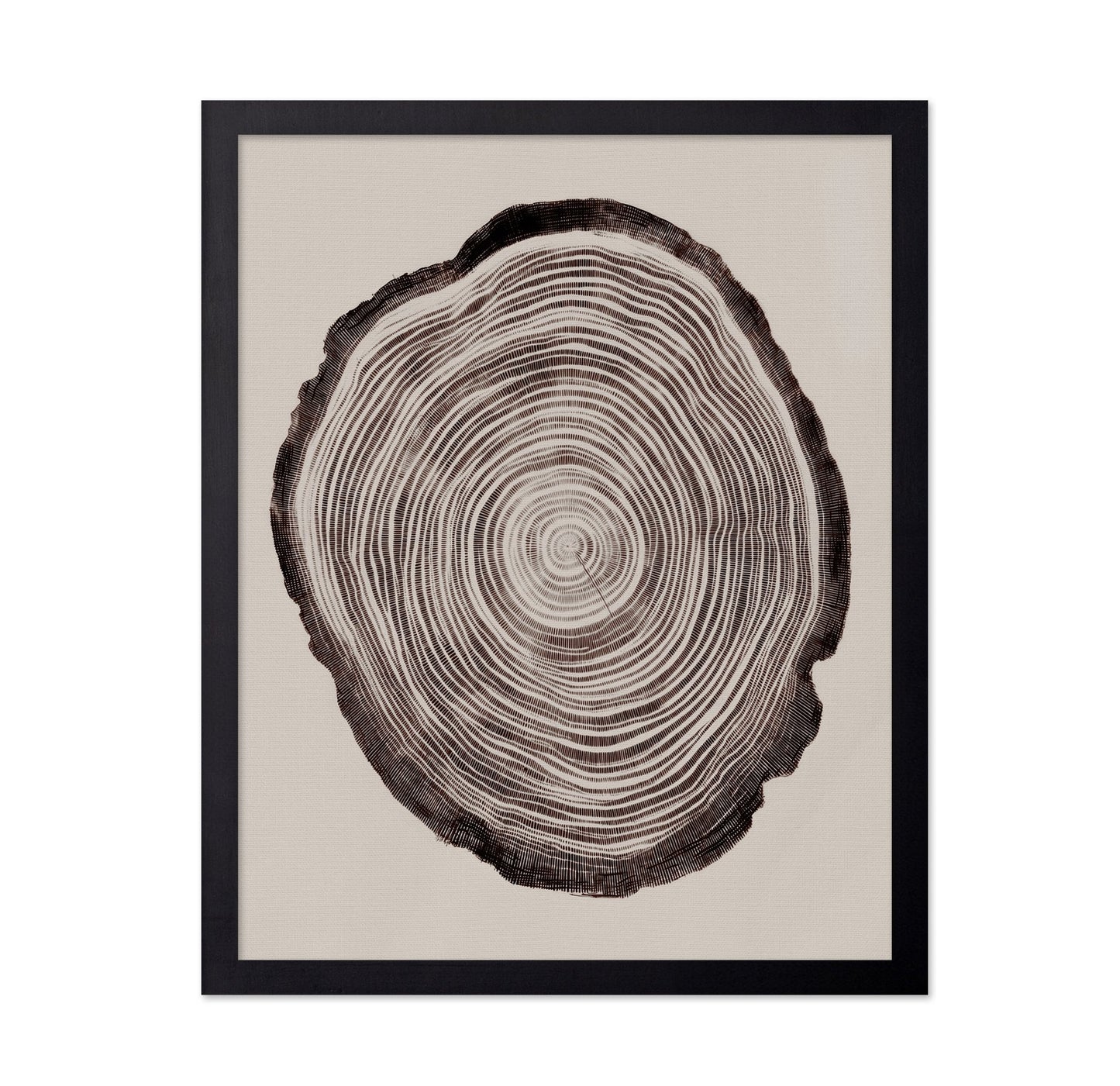 Tree Ring Pattern