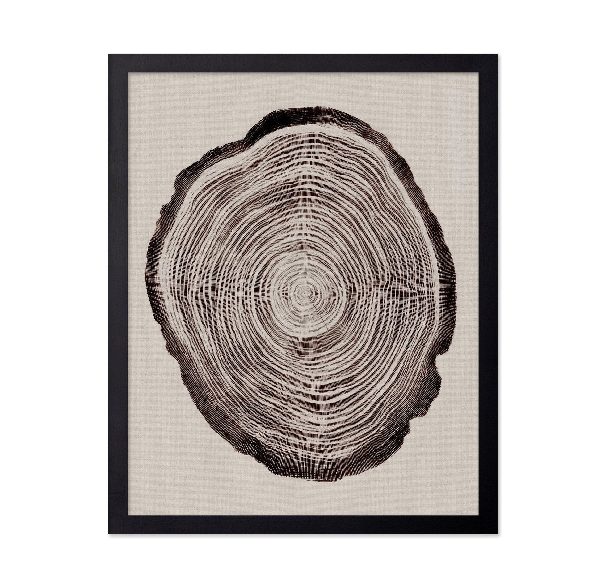 Tree Ring Pattern